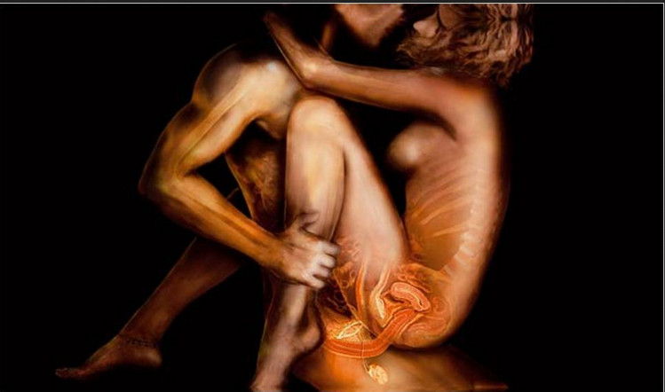 Схема зароботка на порно (белая)_0.jpg